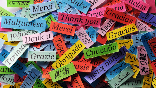 Knightsbridge Solicitors Multilingual Staff